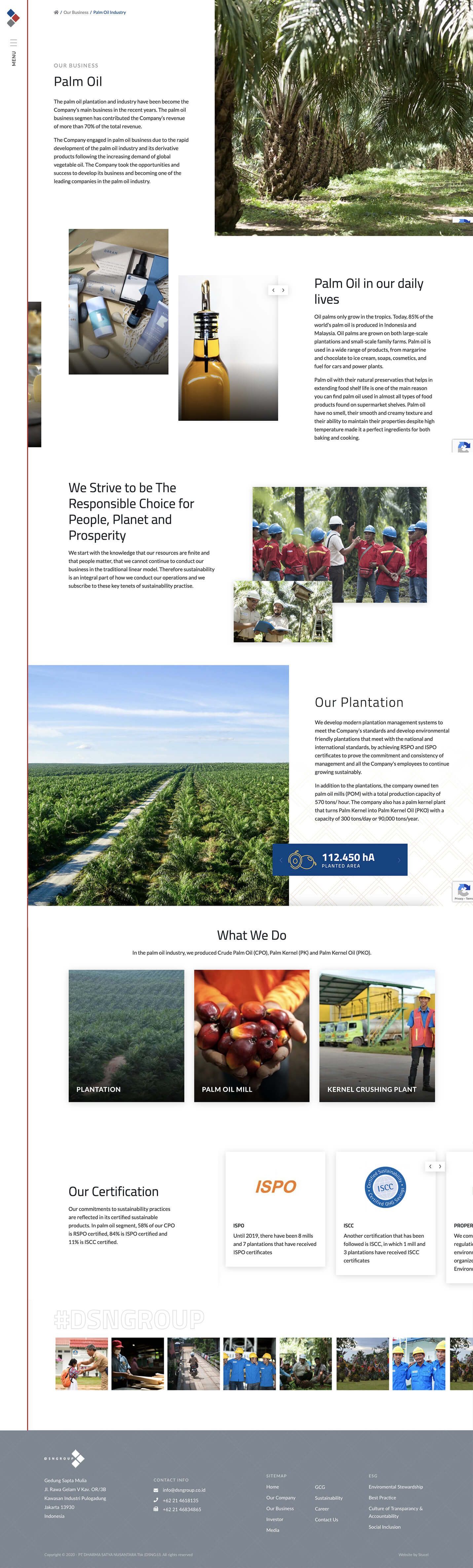 palm oil